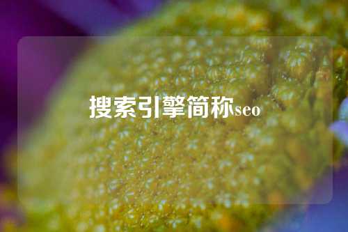 搜索引擎简称seo