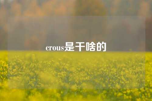 crous是干啥的