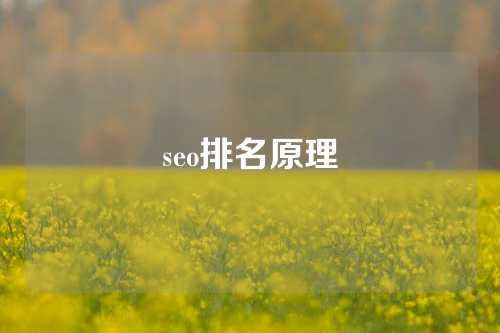 seo排名原理