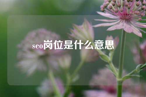 seo岗位是什么意思