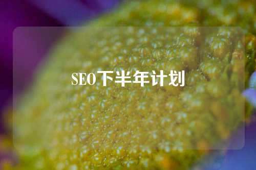 SEO下半年计划