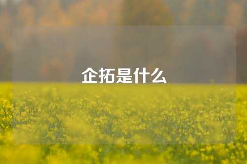 企拓是什么