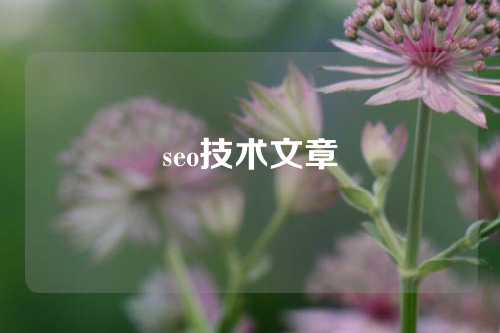 seo技术文章