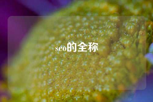 seo的全称