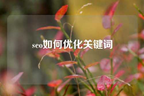 seo如何优化关键词