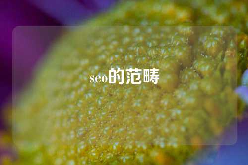 seo的范畴