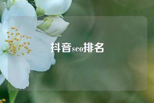 抖音seo排名