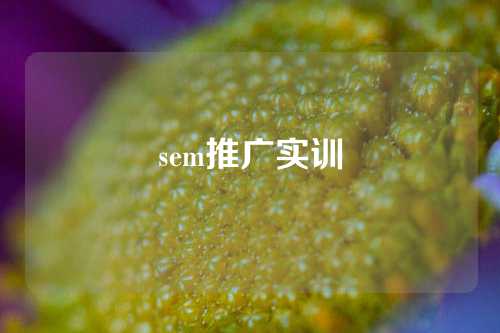 sem推广实训