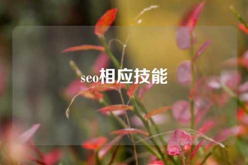 seo相应技能