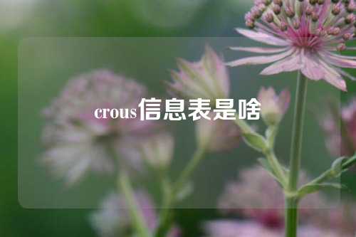 crous信息表是啥