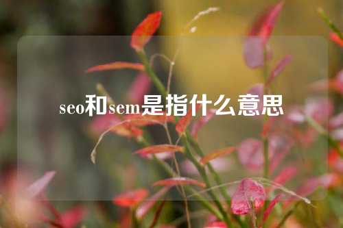 seo和sem是指什么意思