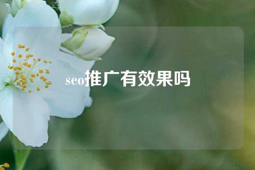 seo推广有效果吗