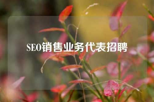 SEO销售业务代表招聘