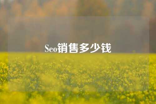 Seo销售多少钱