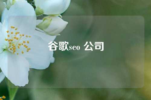 谷歌seo 公司