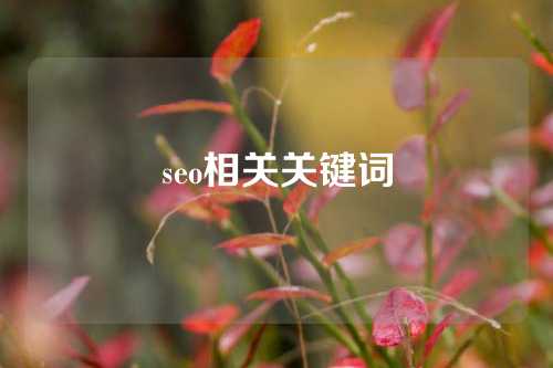 seo相关关键词