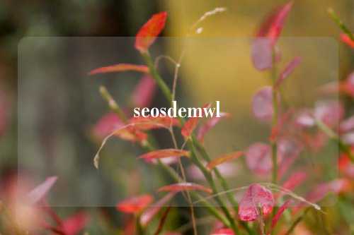 seosdemwl