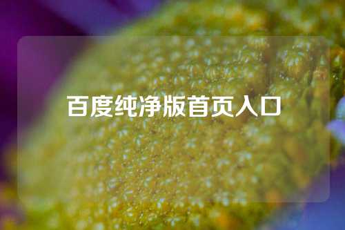 百度纯净版首页入口