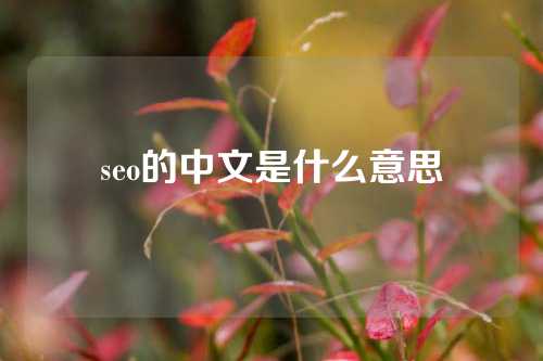 seo的中文是什么意思