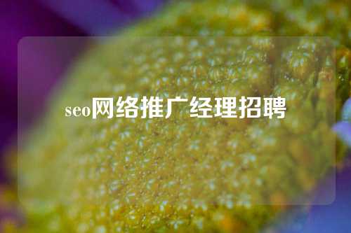 seo网络推广经理招聘