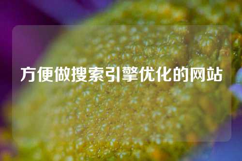 方便做搜索引擎优化的网站