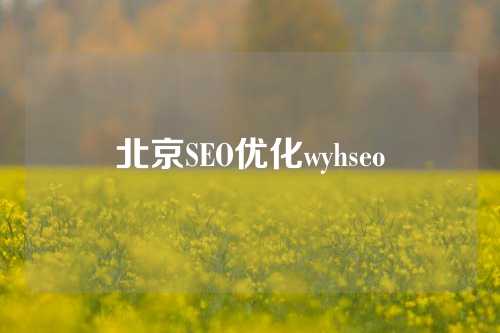 北京SEO优化wyhseo