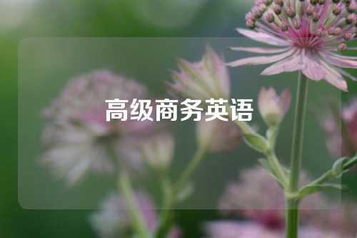 高级商务英语