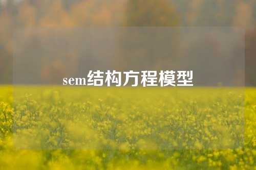 sem结构方程模型