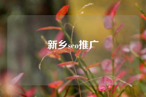 新乡seo推广