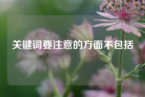 关键词要注意的方面不包括