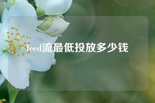 feed流最低投放多少钱