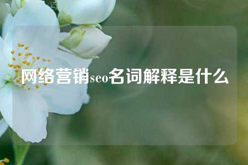 网络营销seo名词解释是什么