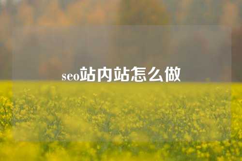 seo站内站怎么做