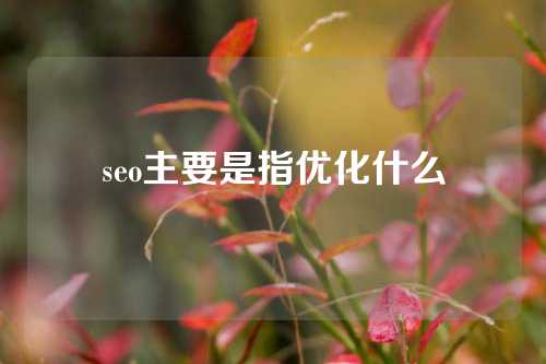 seo主要是指优化什么