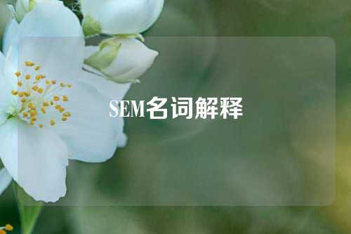 SEM名词解释