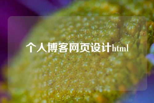 个人博客网页设计html