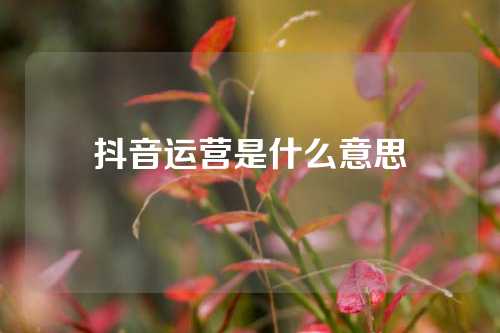 抖音运营是什么意思