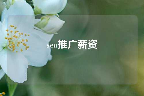 seo推广薪资