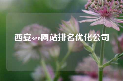 西安seo网站排名优化公司