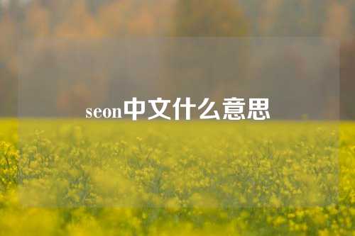 seon中文什么意思