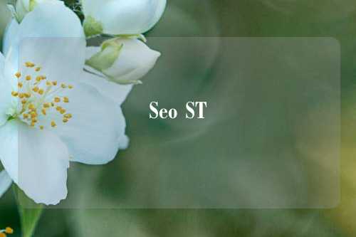 Seo ST