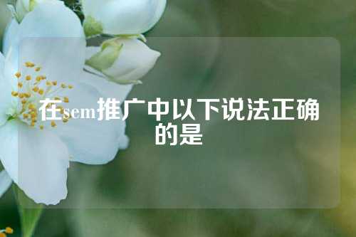 在sem推广中以下说法正确的是