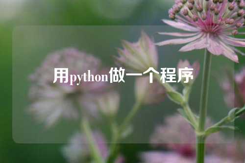 用python做一个程序