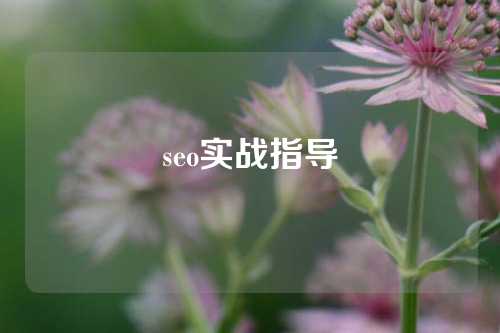 seo实战指导