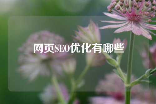 网页SEO优化有哪些