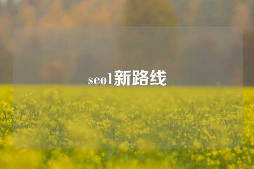 seo1新路线