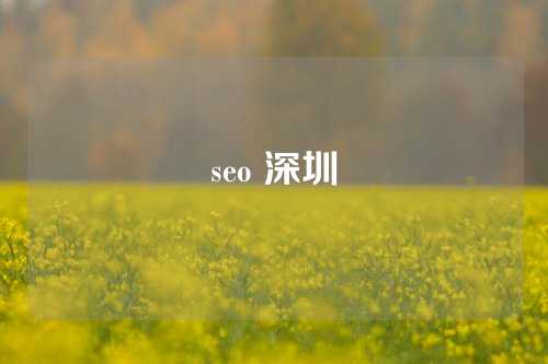 seo 深圳