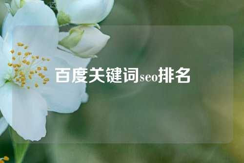 百度关键词seo排名