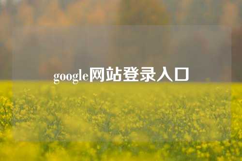 google网站登录入口