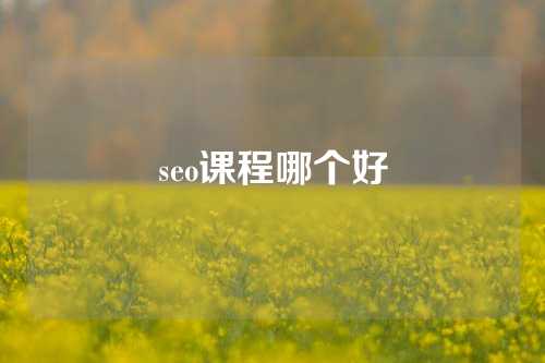 seo课程哪个好